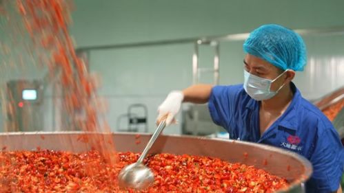 遵义 以“芯片”思维选好辣椒 助推食品产业腾飞