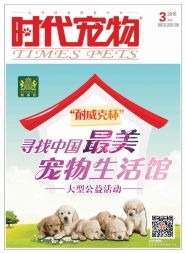 时代宠物 宠物食品企业的创新营销之路