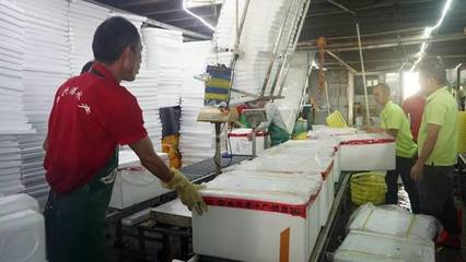 日配超70吨，九江鱼兴港以预制菜解锁鱼的百变吃法